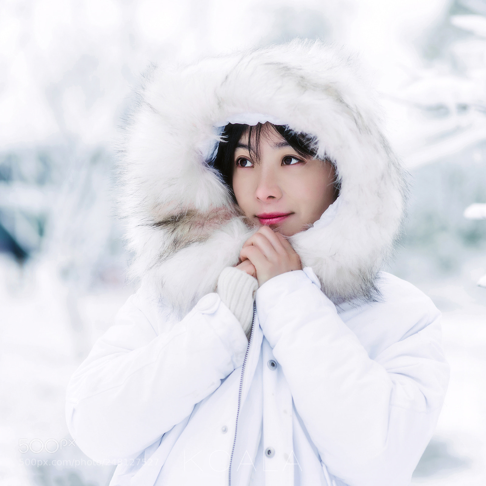 Nikon D810 sample photo. 雪 photography