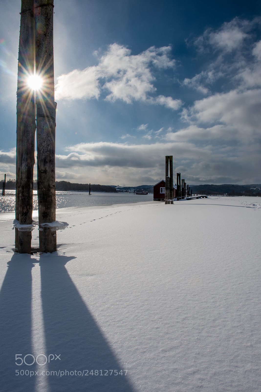Nikon D810 sample photo. Winter morning photography