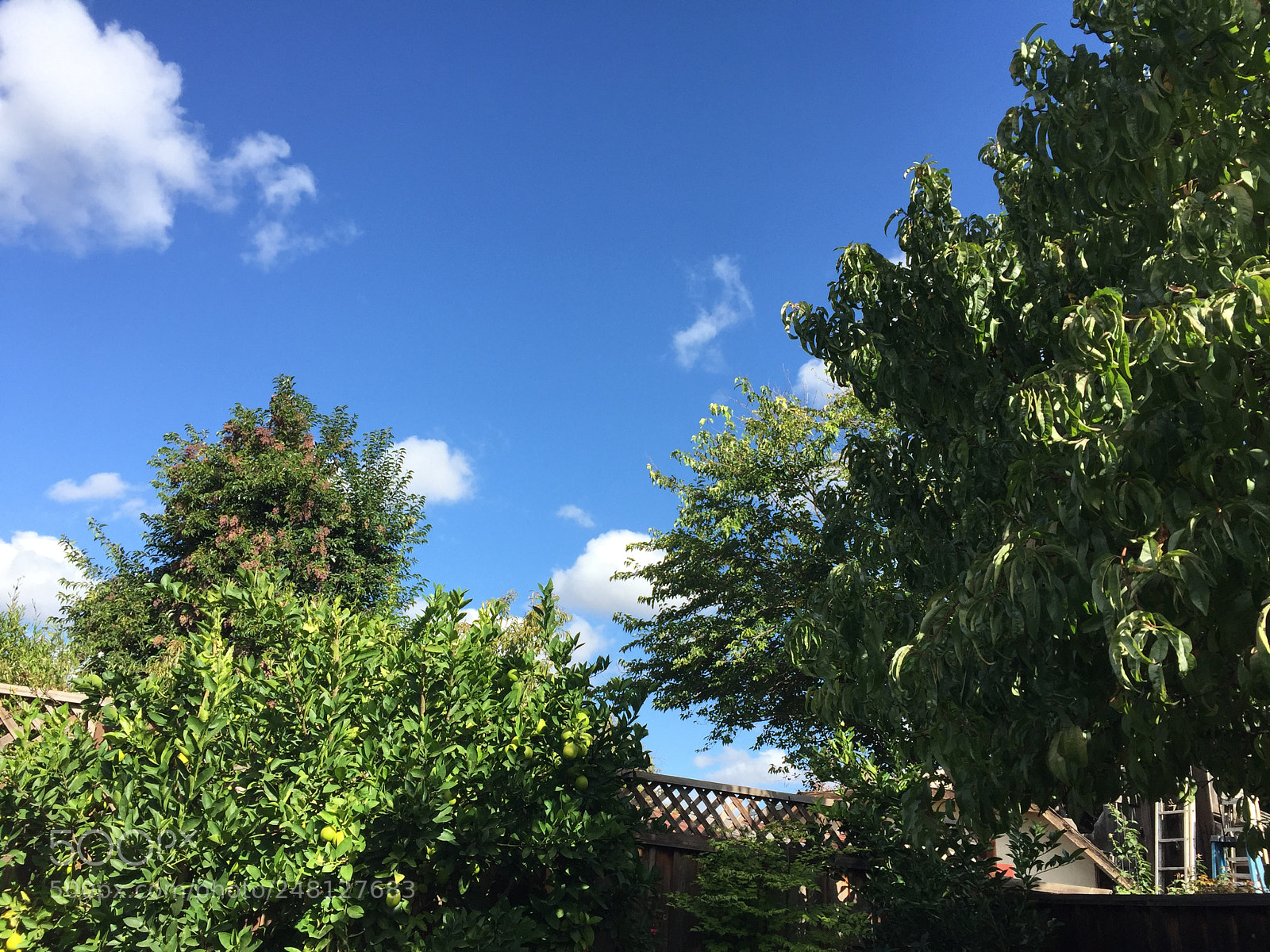 Apple iPhone 6 sample photo. Here is love here photography