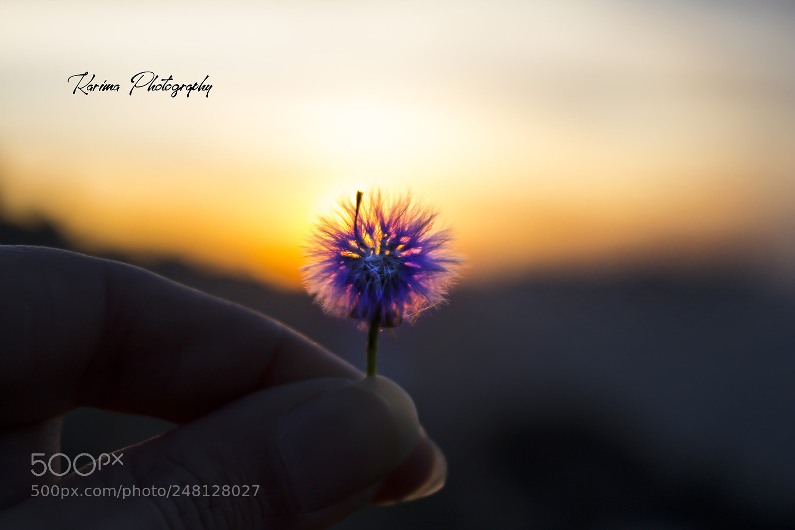 Canon EOS 700D (EOS Rebel T5i / EOS Kiss X7i) sample photo. Tiny wish photography