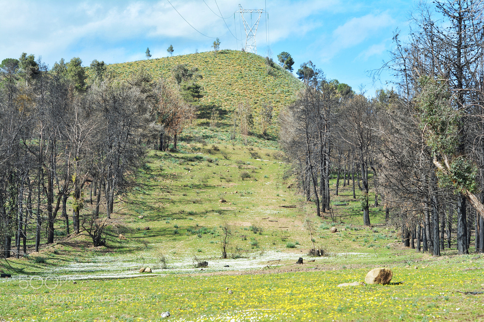 Nikon D5200 sample photo. Untitled photography