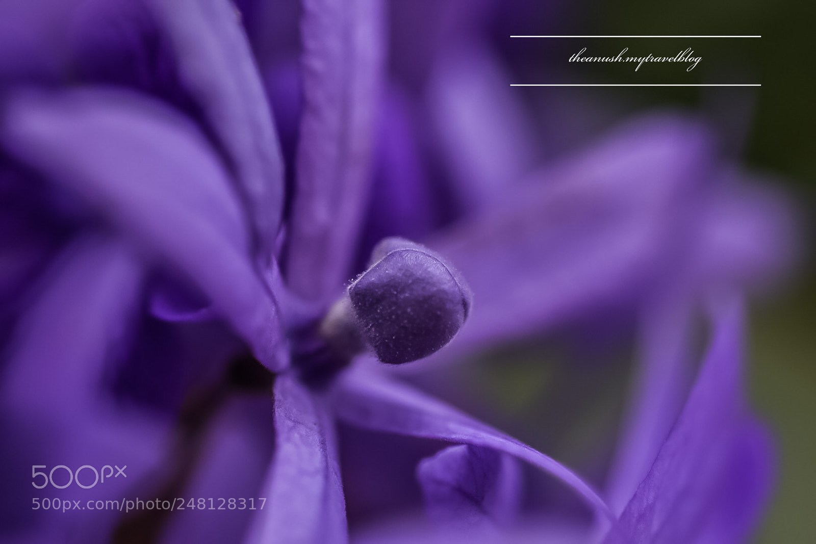 Nikon D7200 sample photo. Experimenting macro.  photography