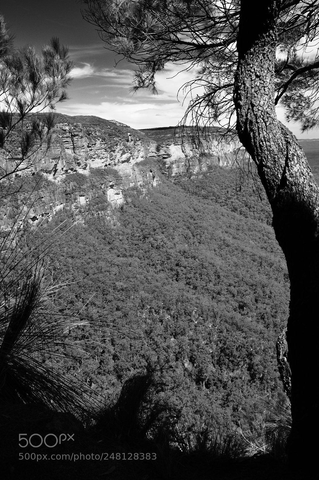 Nikon D5200 sample photo. Blue mountains view photography