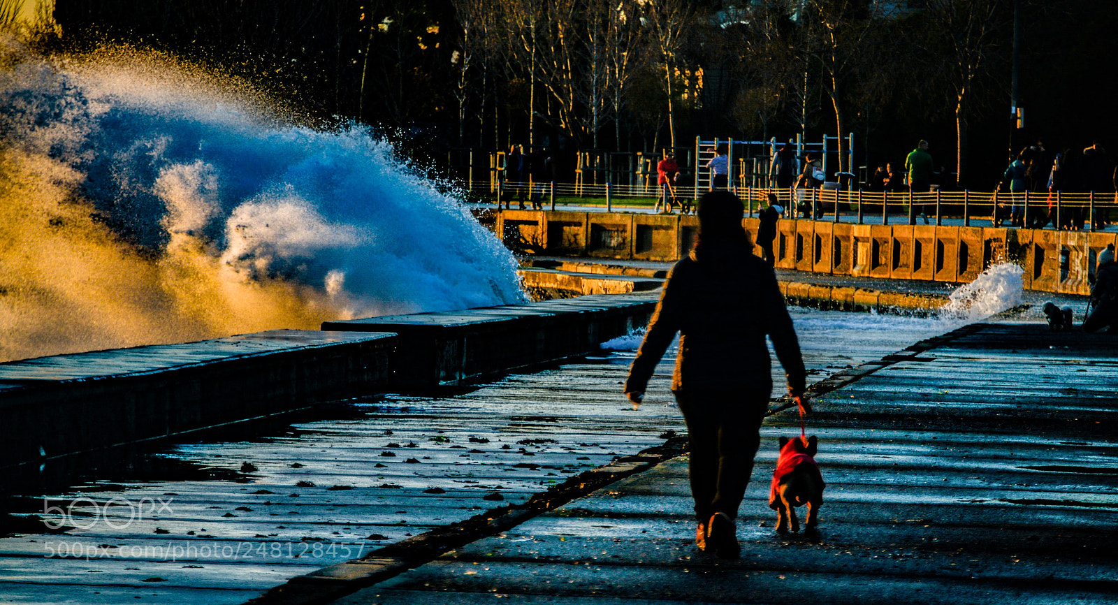 Nikon D800 sample photo. Istanbul / caddebostan photography