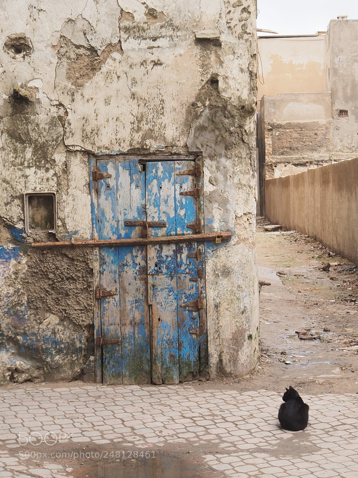 Olympus OM-D E-M5 II sample photo. The blue door and photography