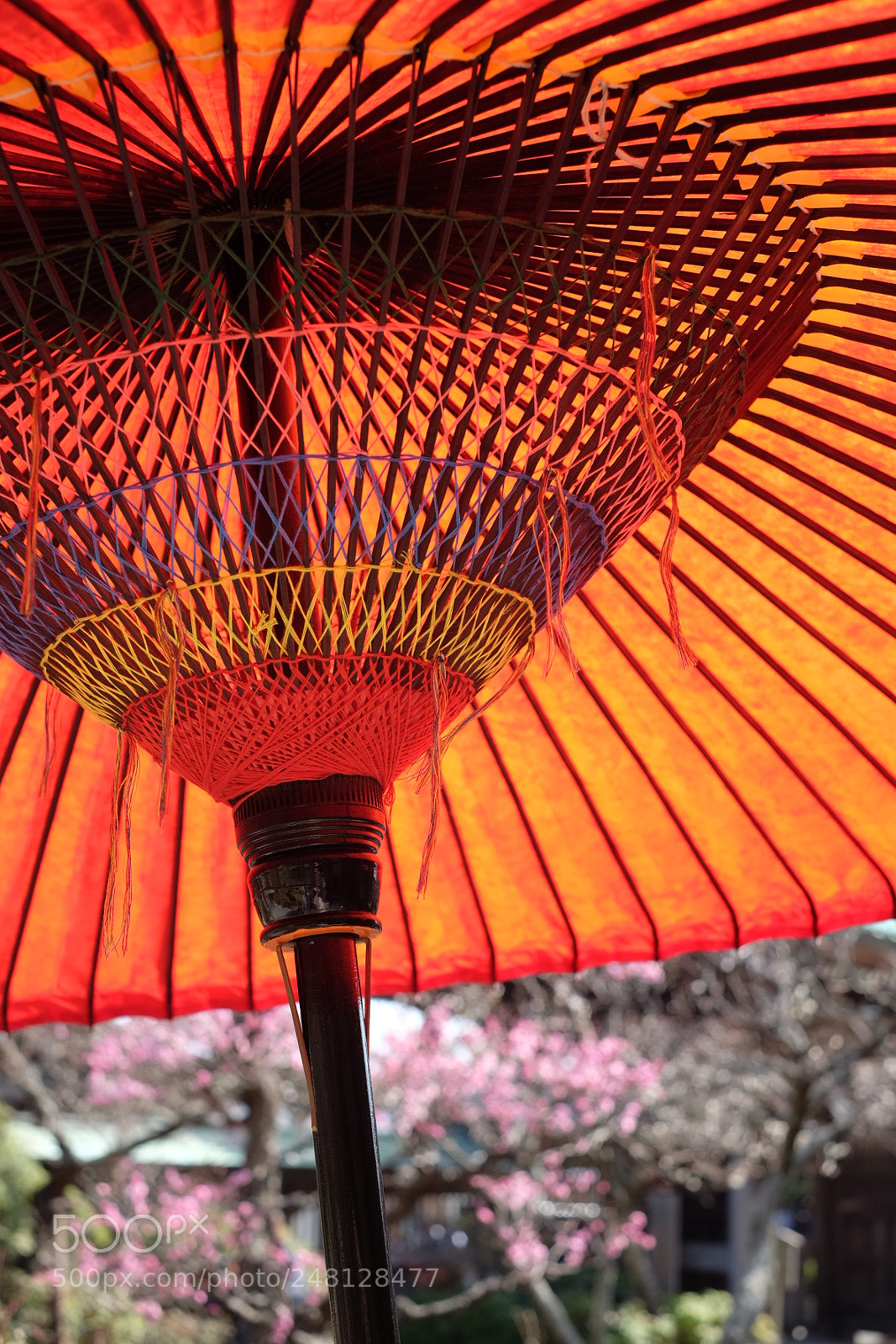 Fujifilm X-T1 sample photo. Untitled photography