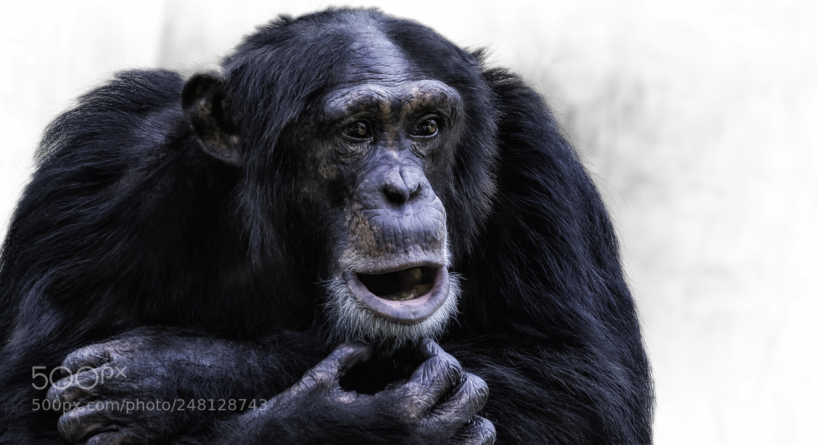 Nikon D7100 sample photo. "astonished" photography