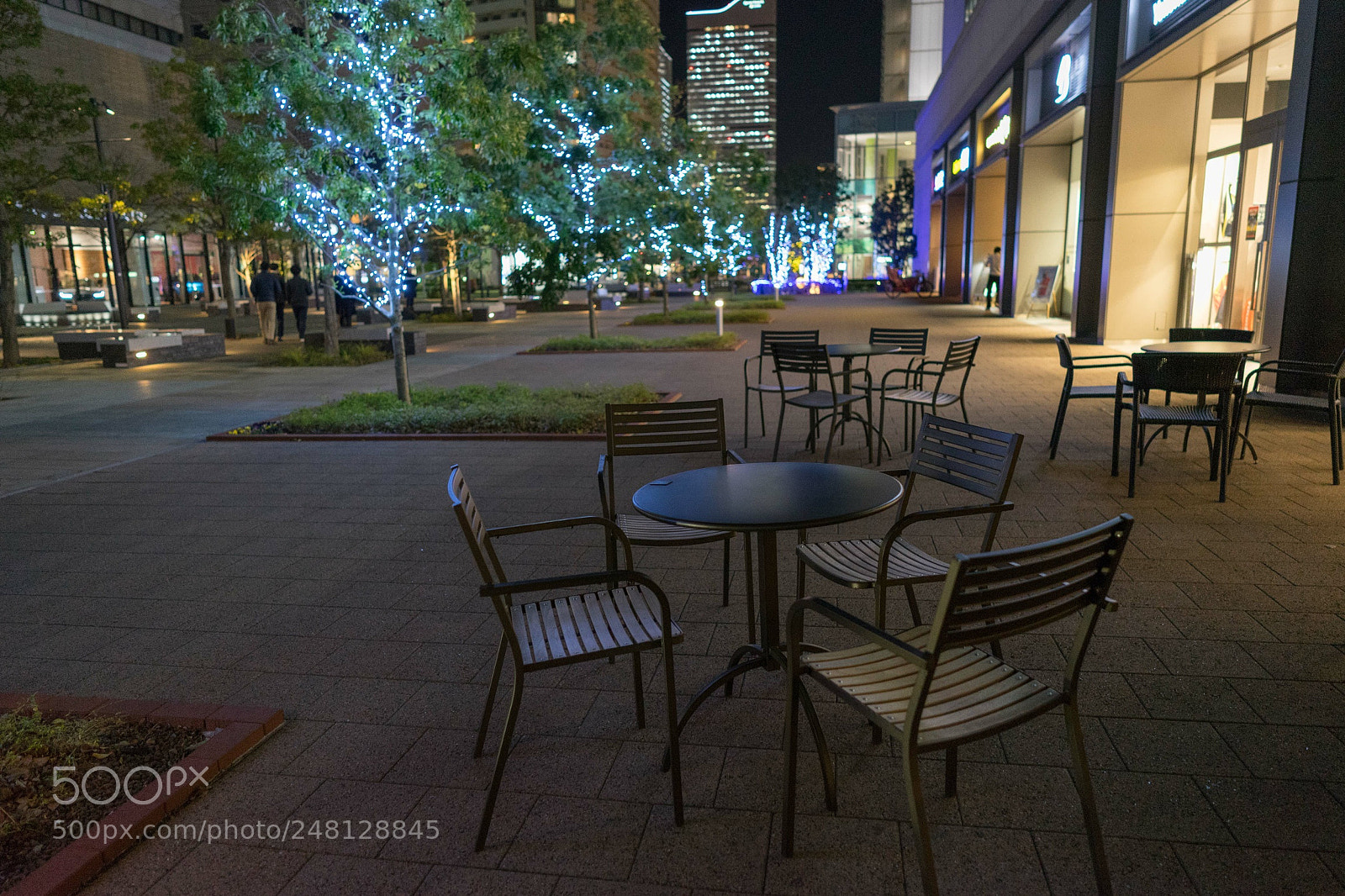 Sony a7 II sample photo. Untitled photography