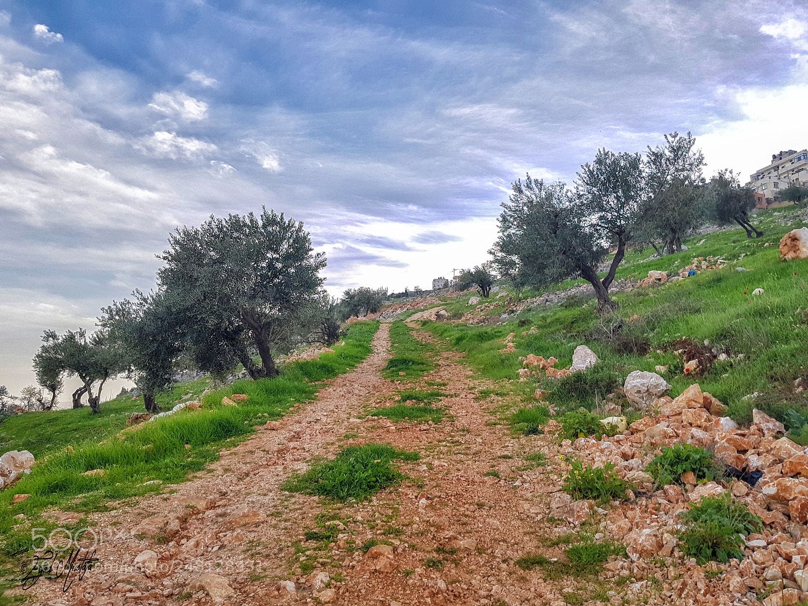 Samsung Galaxy S8 sample photo. Mountain road photography