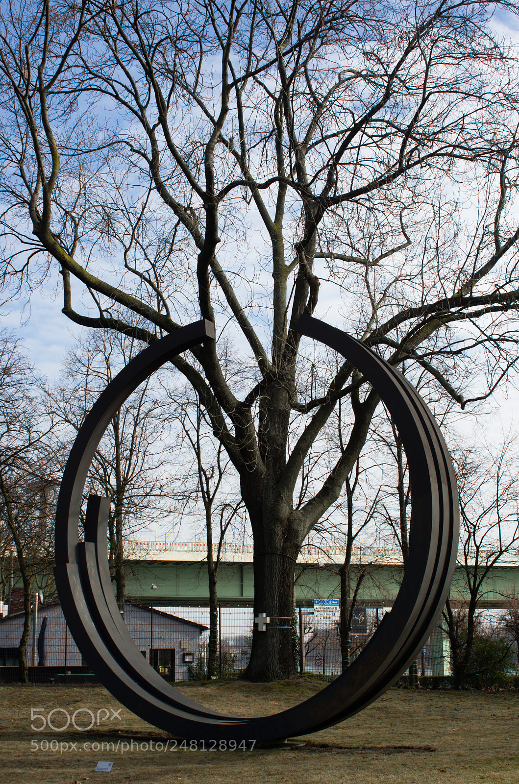 Pentax K-5 sample photo. Tree in a circle photography