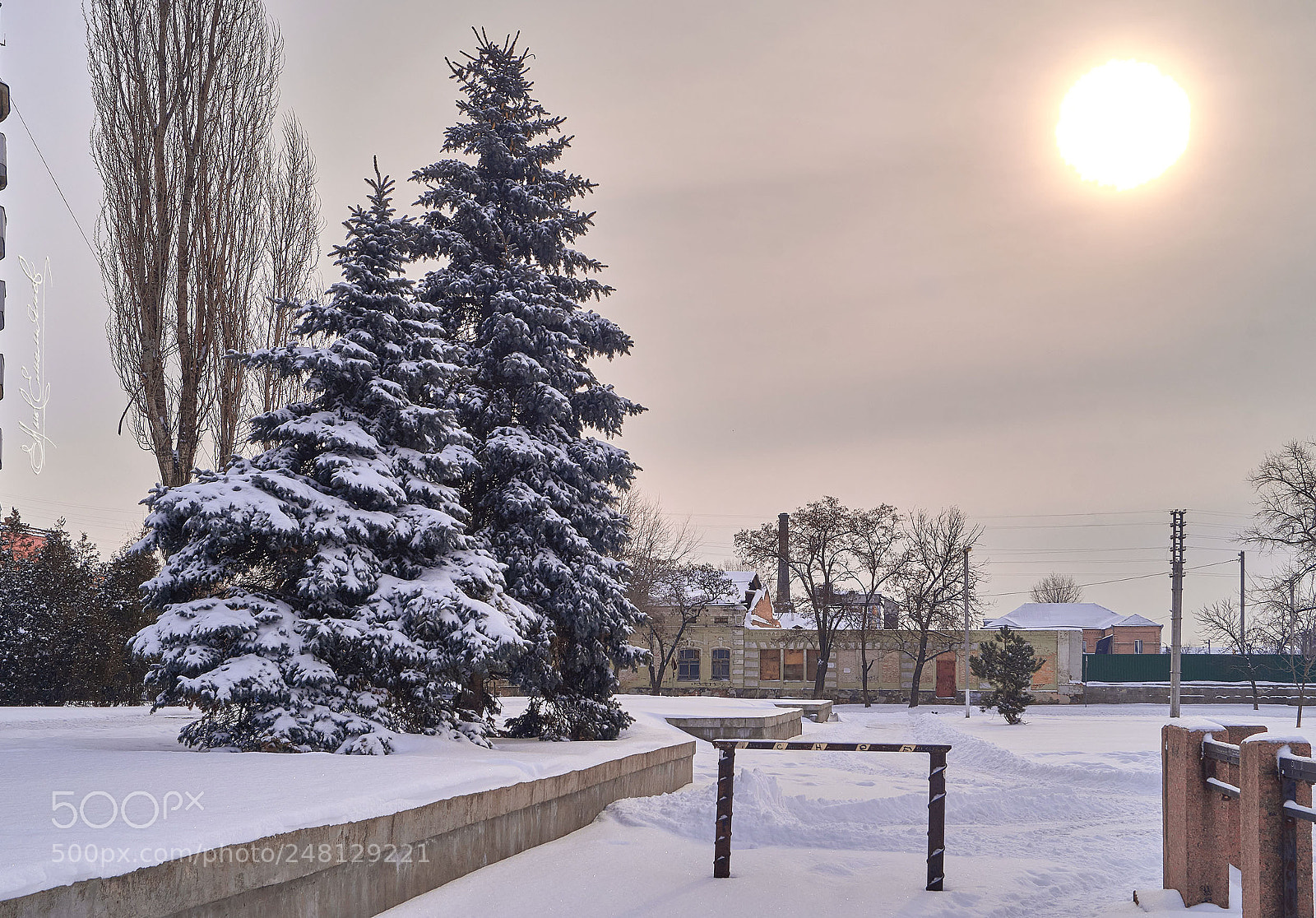 Sony SLT-A58 sample photo. 1 березня – photography