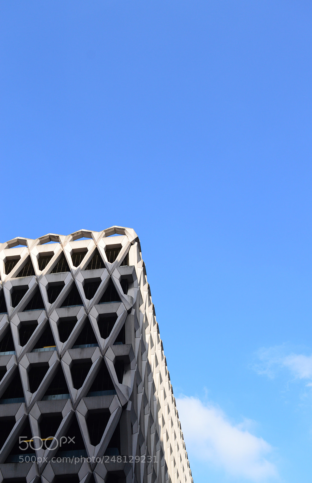 Nikon D3200 sample photo. Untitled photography