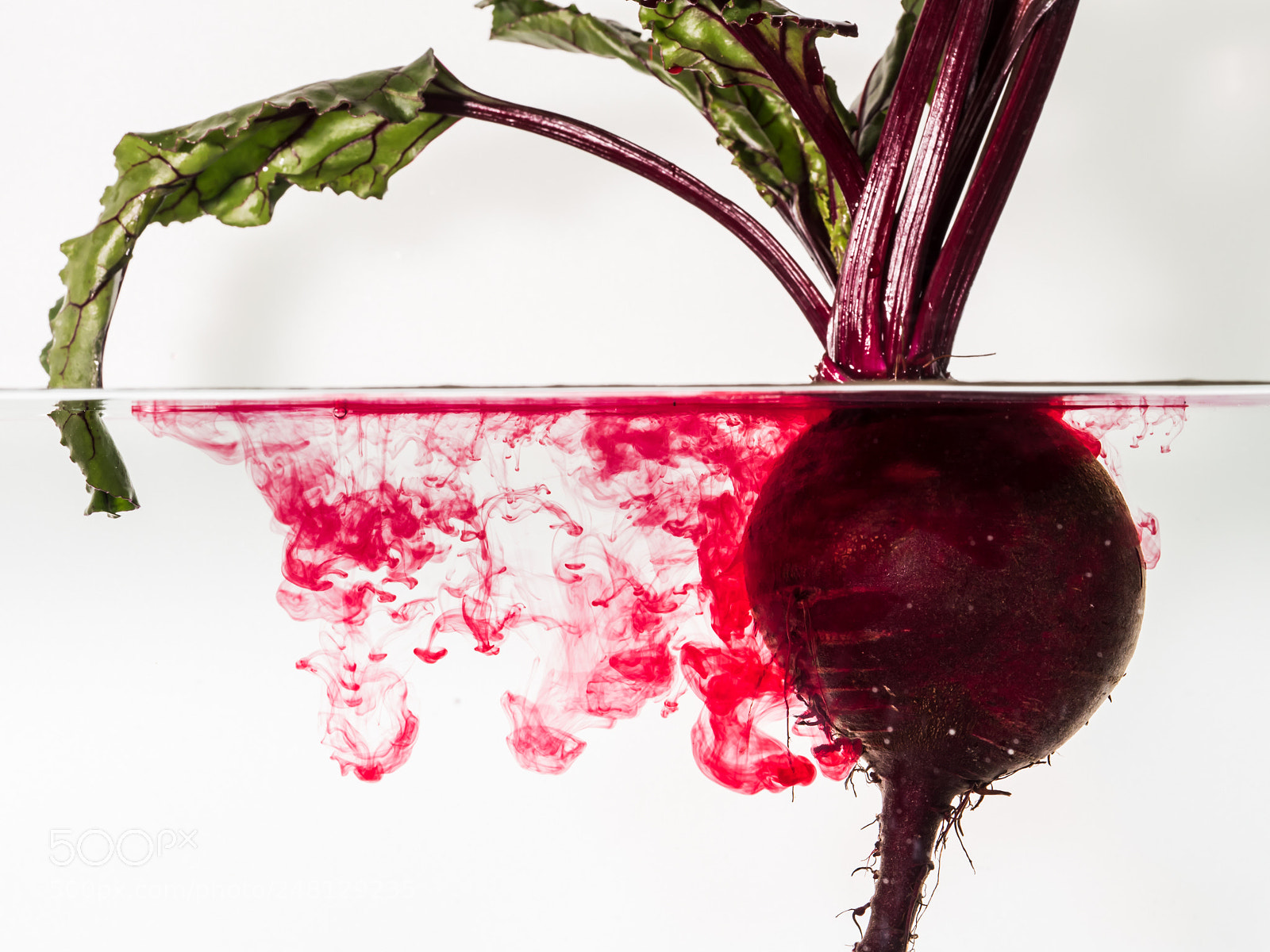 Olympus OM-D E-M5 II sample photo. Beetroot photography