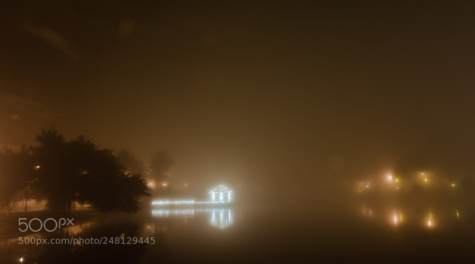 Nikon D7100 sample photo. Blurry view photography