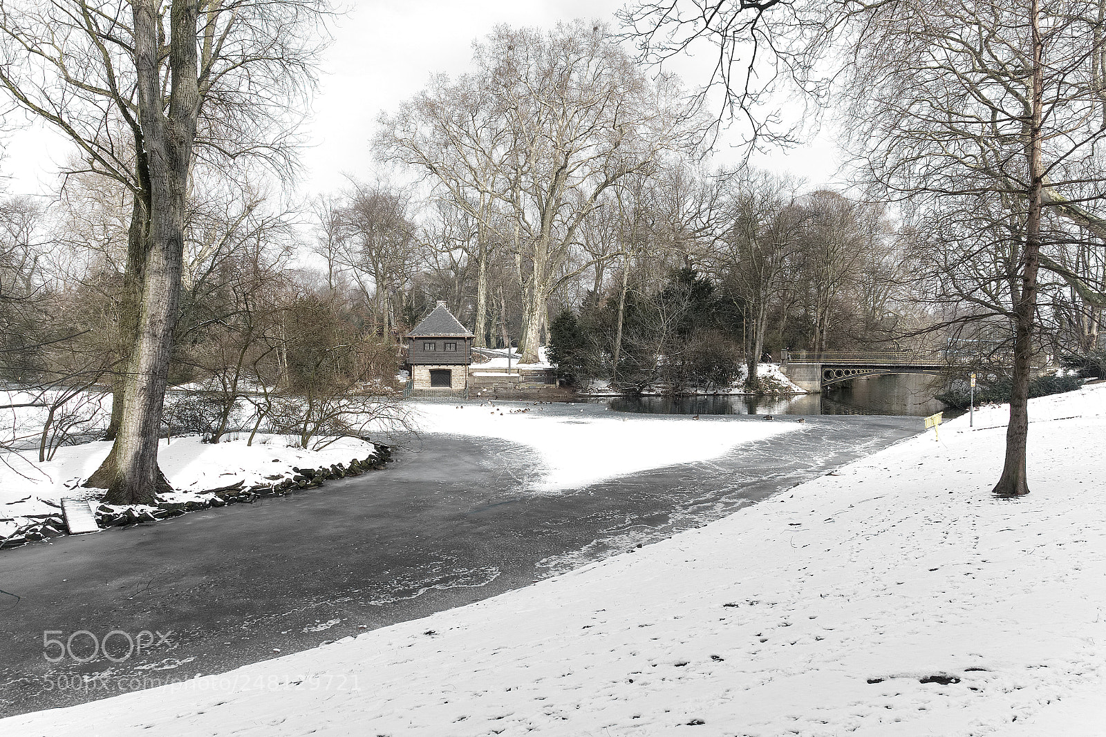 Olympus OM-D E-M5 II sample photo. Wintry photography