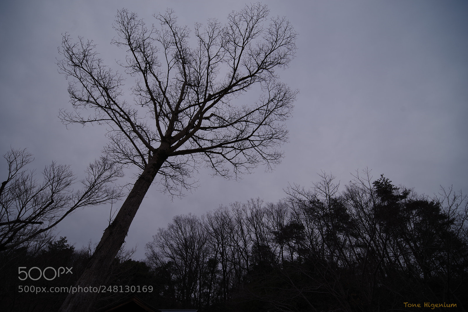 Pentax K-1 sample photo. Irix 15mm test photography