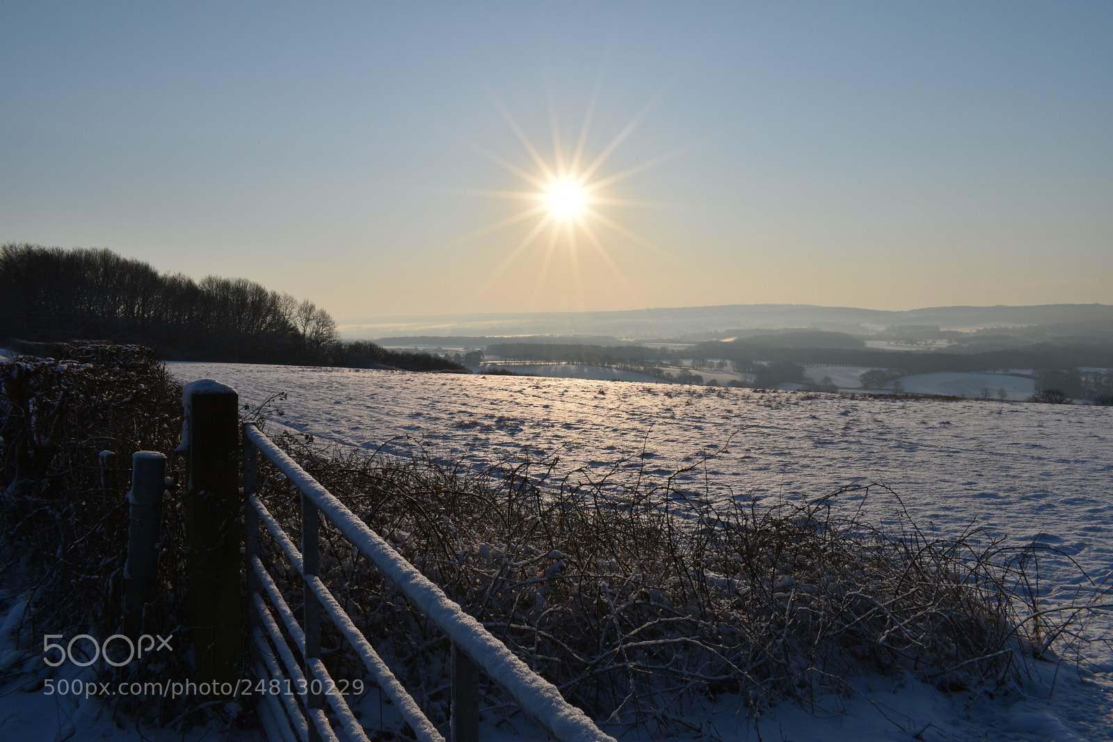 Nikon D5600 sample photo. Spring snowfall~kent~uk photography