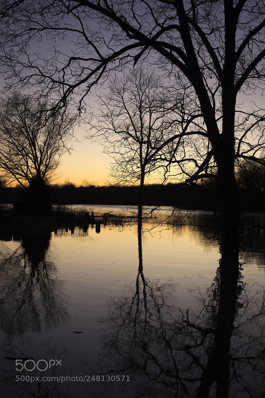 Canon EOS 7D Mark II sample photo. Flooded cemetery at sunset photography