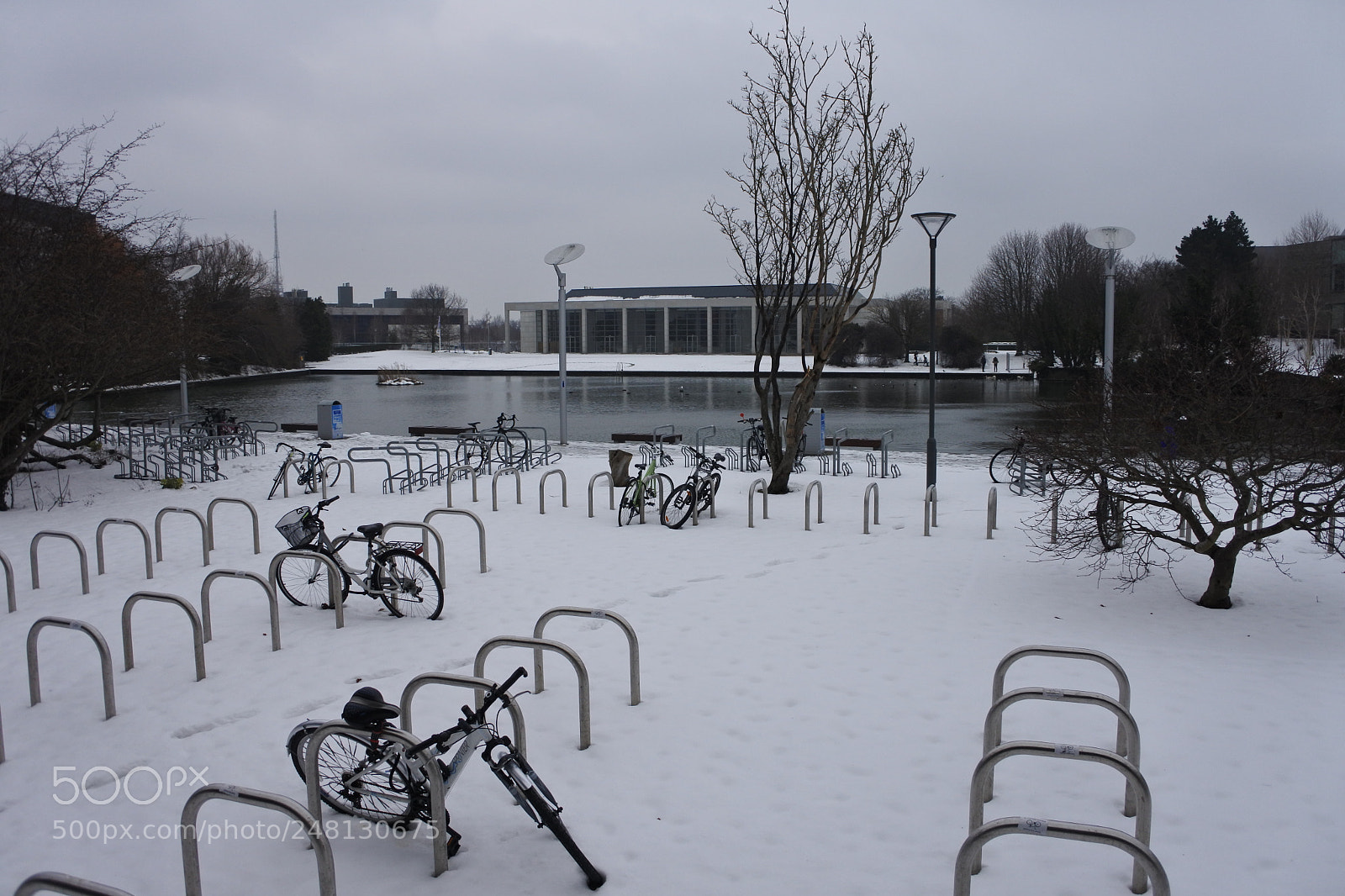 Nikon 1 J5 sample photo. Storm beast from east photography