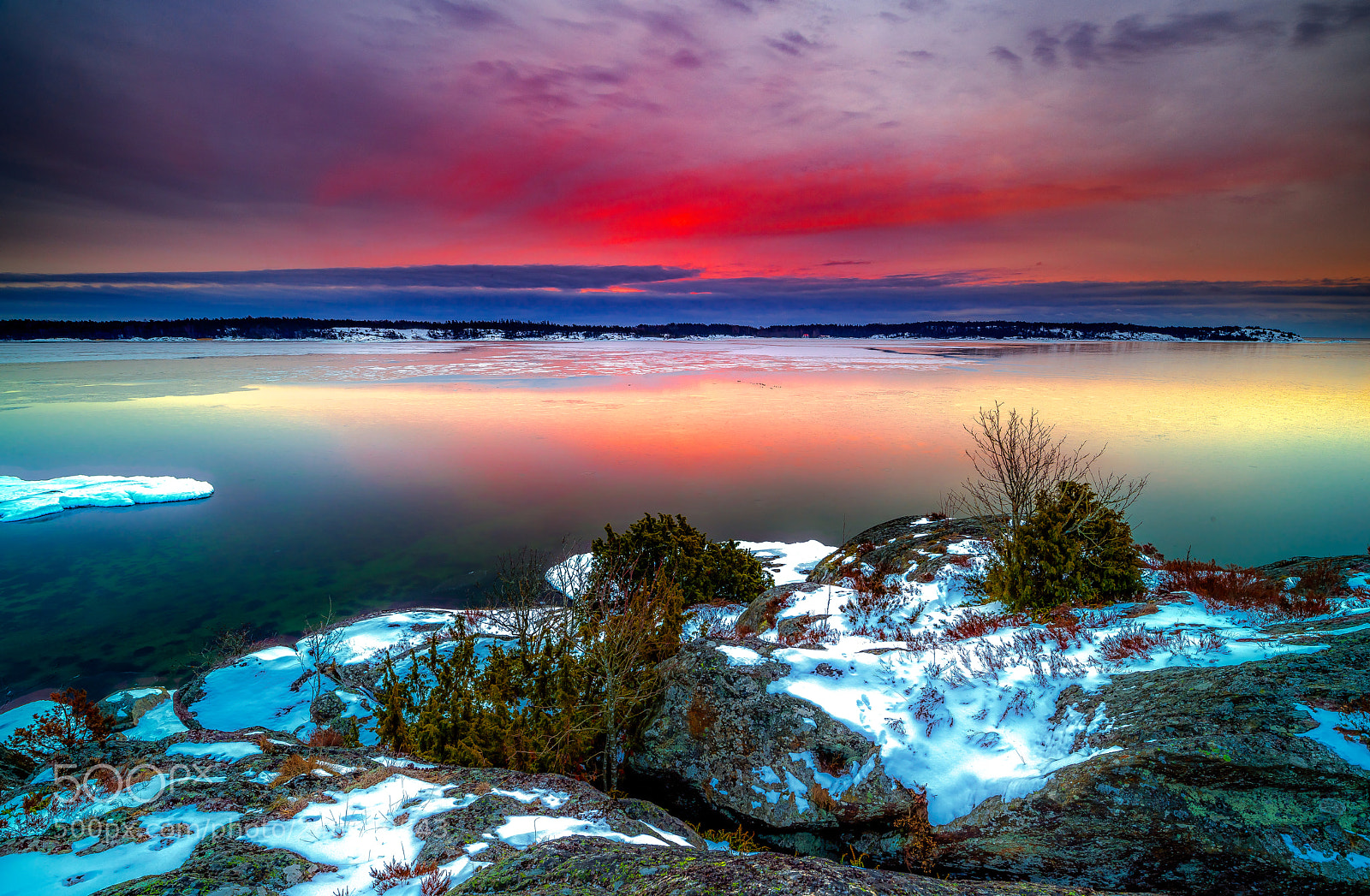 Nikon D850 sample photo. Sweden,nynäshamn photography