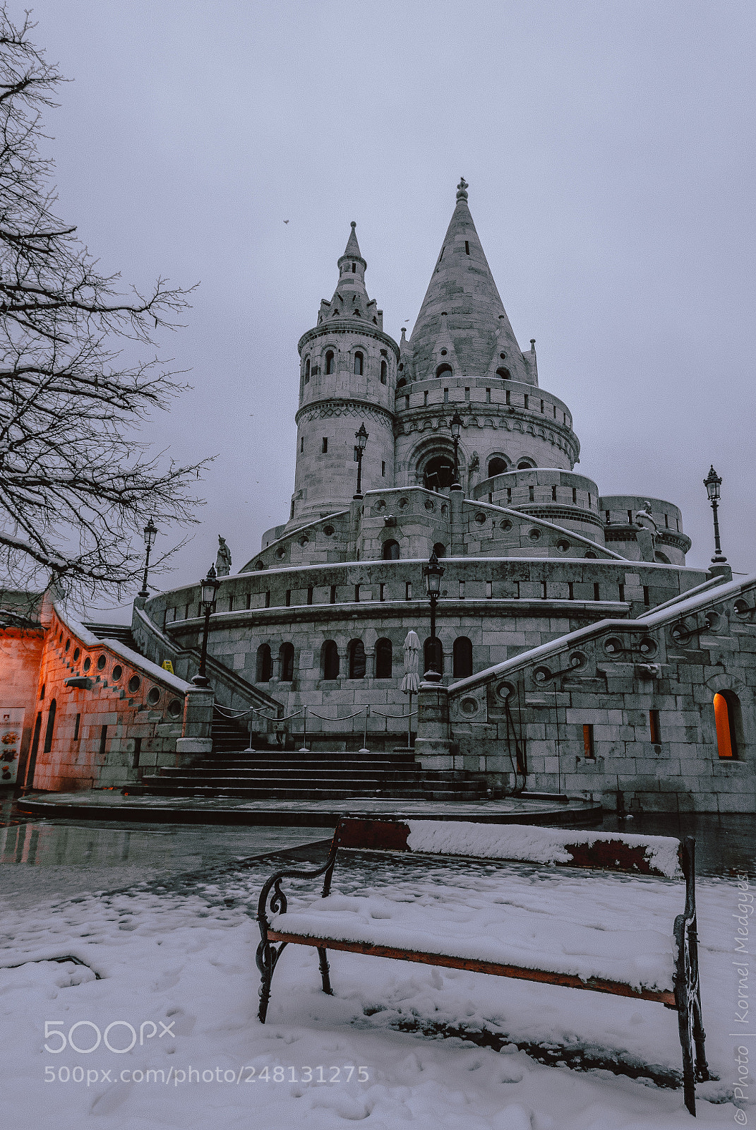 Nikon D610 sample photo. Winter morning photography
