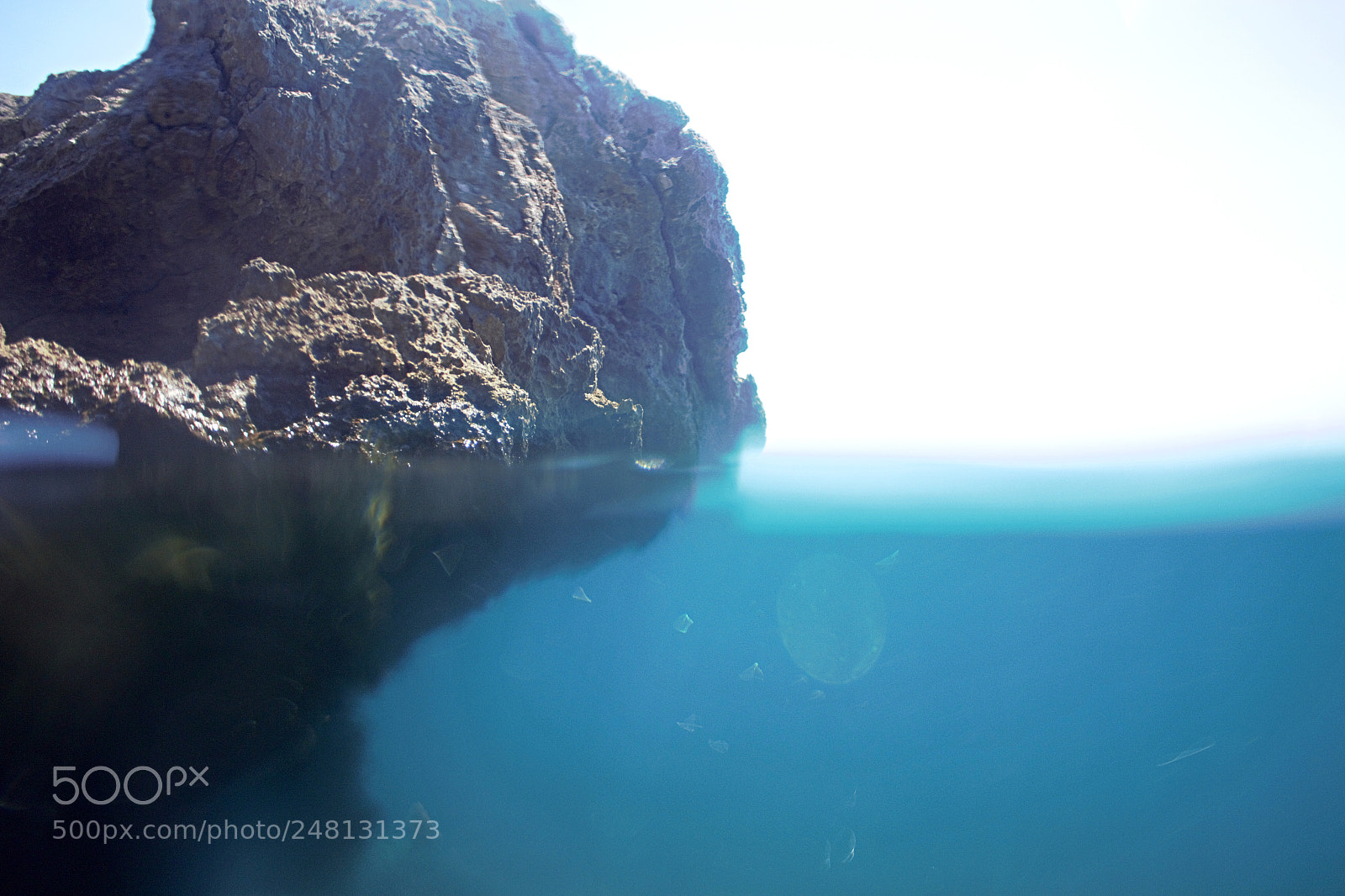 Canon EOS 100D (EOS Rebel SL1 / EOS Kiss X7) sample photo. Underwater rock photography