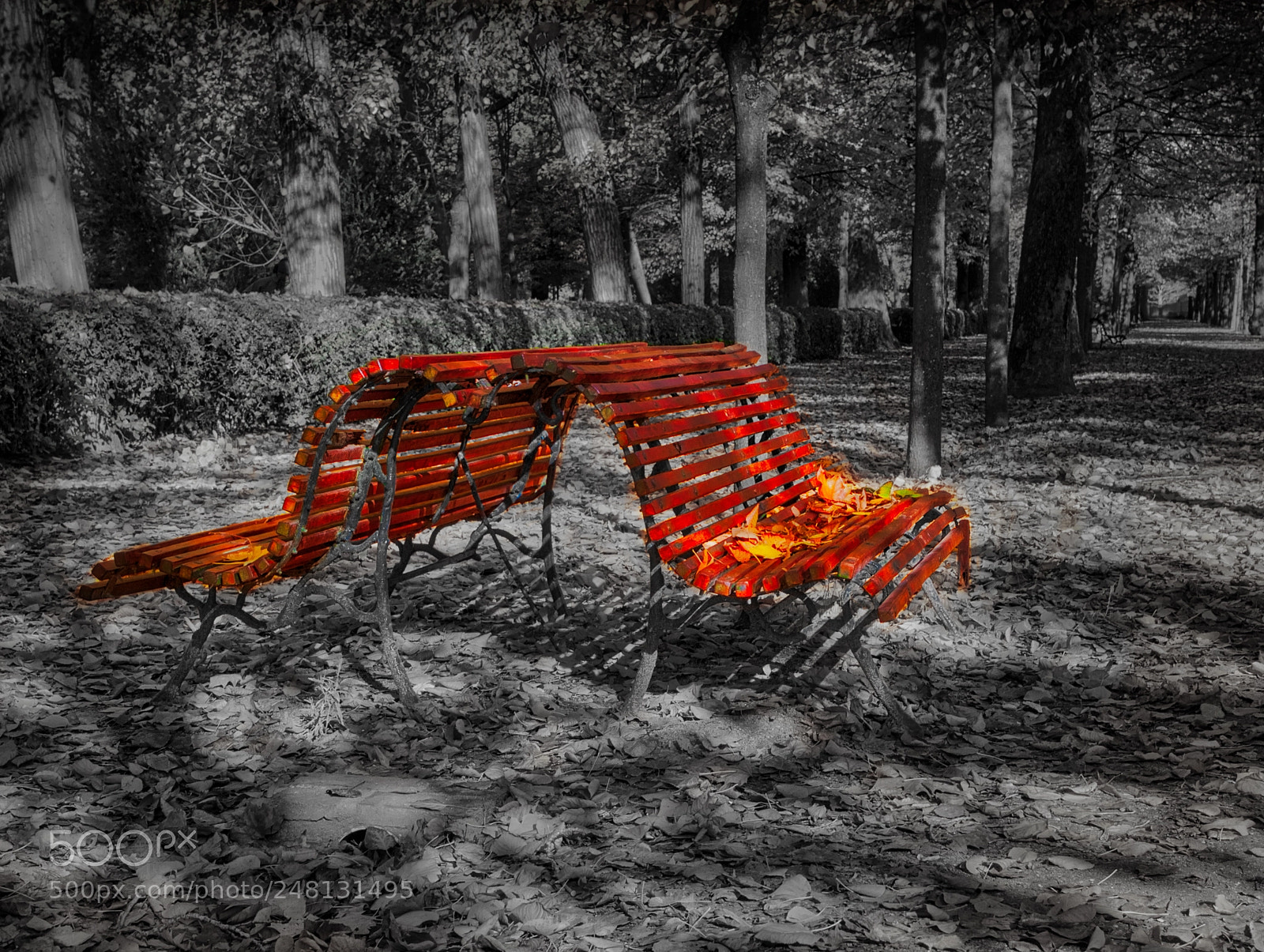 Olympus E-520 (EVOLT E-520) sample photo. Autumn. bench in park photography