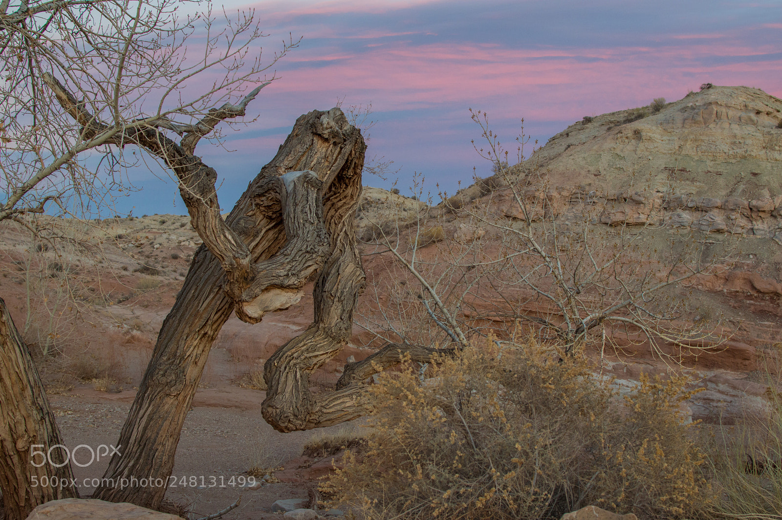 Nikon D3200 sample photo. Winter desert sunset photography