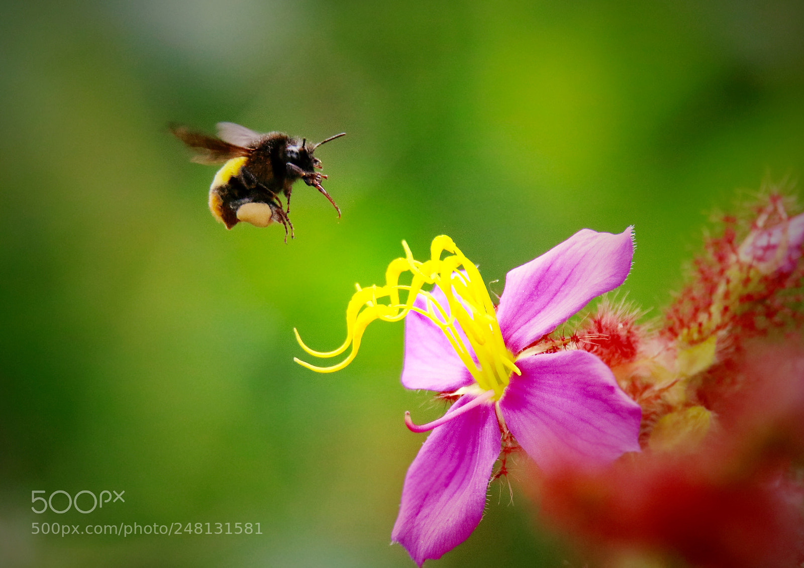 Canon EOS 7D Mark II sample photo. Untitled photography