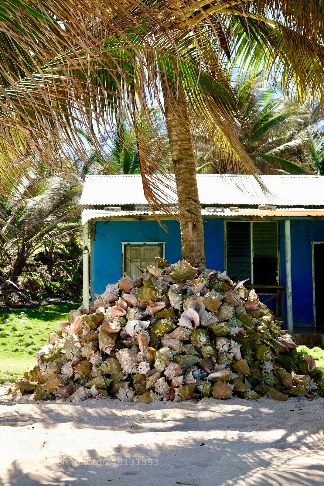 Fujifilm X-T20 sample photo. Little corn island, nicaragua photography