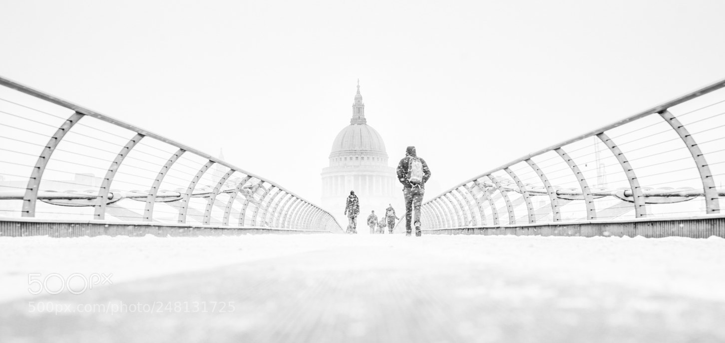 Nikon D810 sample photo. Snowy london photography