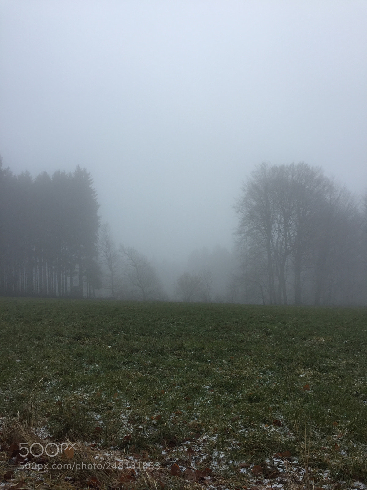 Apple iPhone 6 sample photo. Foggy photography