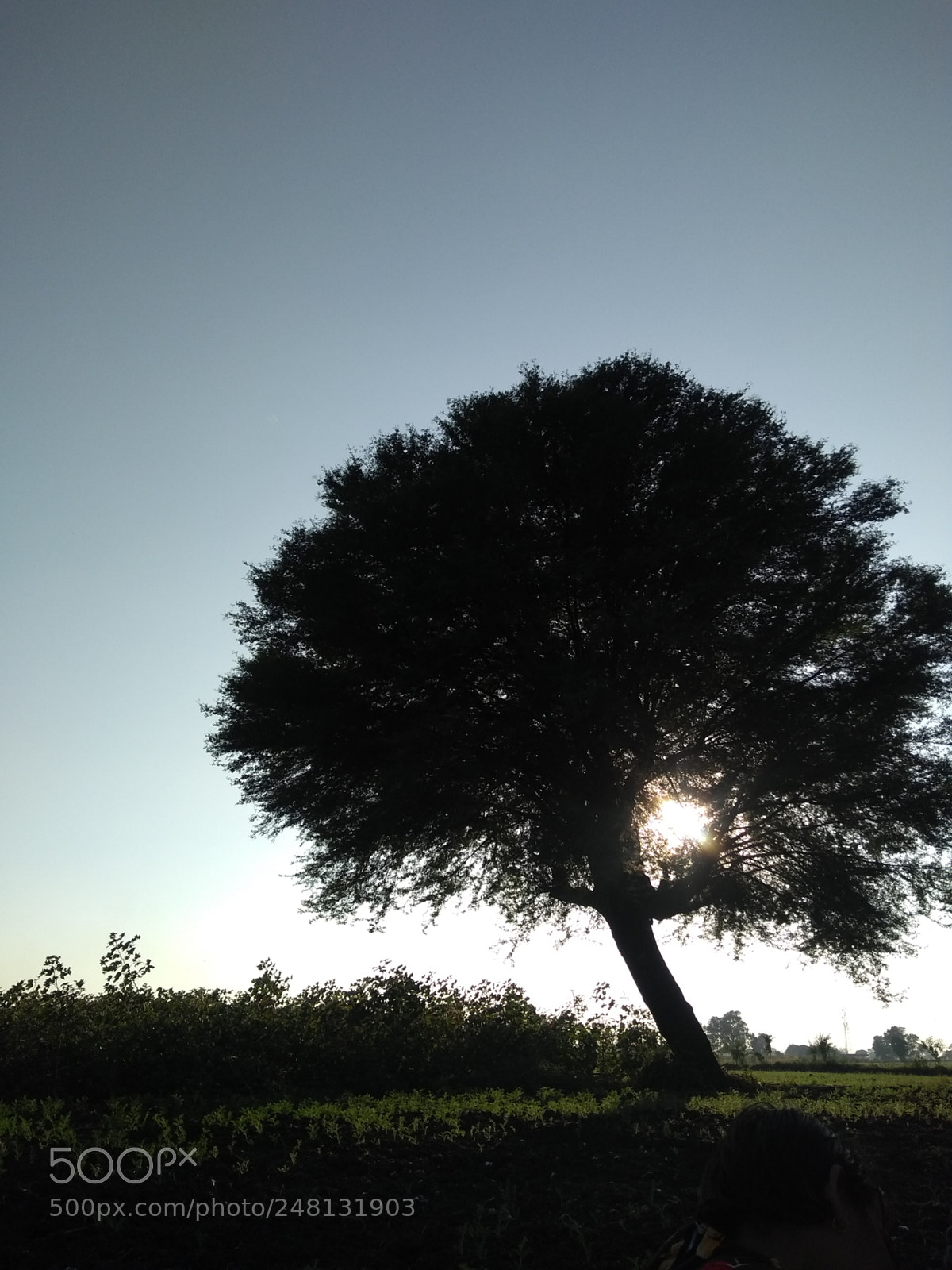 Motorola Moto G (5S) Plus sample photo. At family farm photography