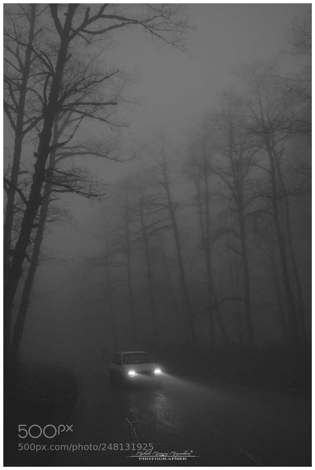 Nikon D5200 sample photo. In fog photography