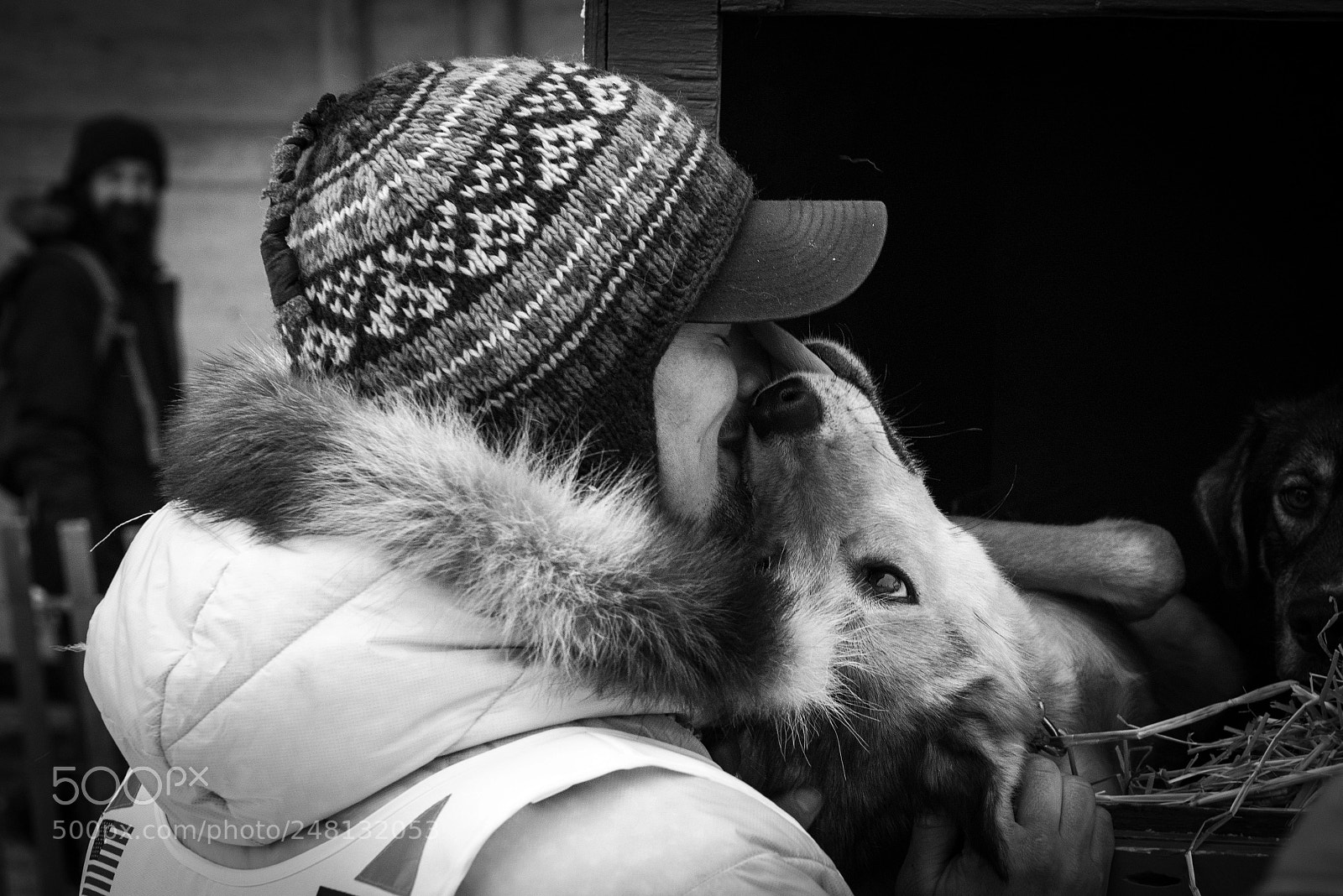 Nikon D800 sample photo. A musher and his photography