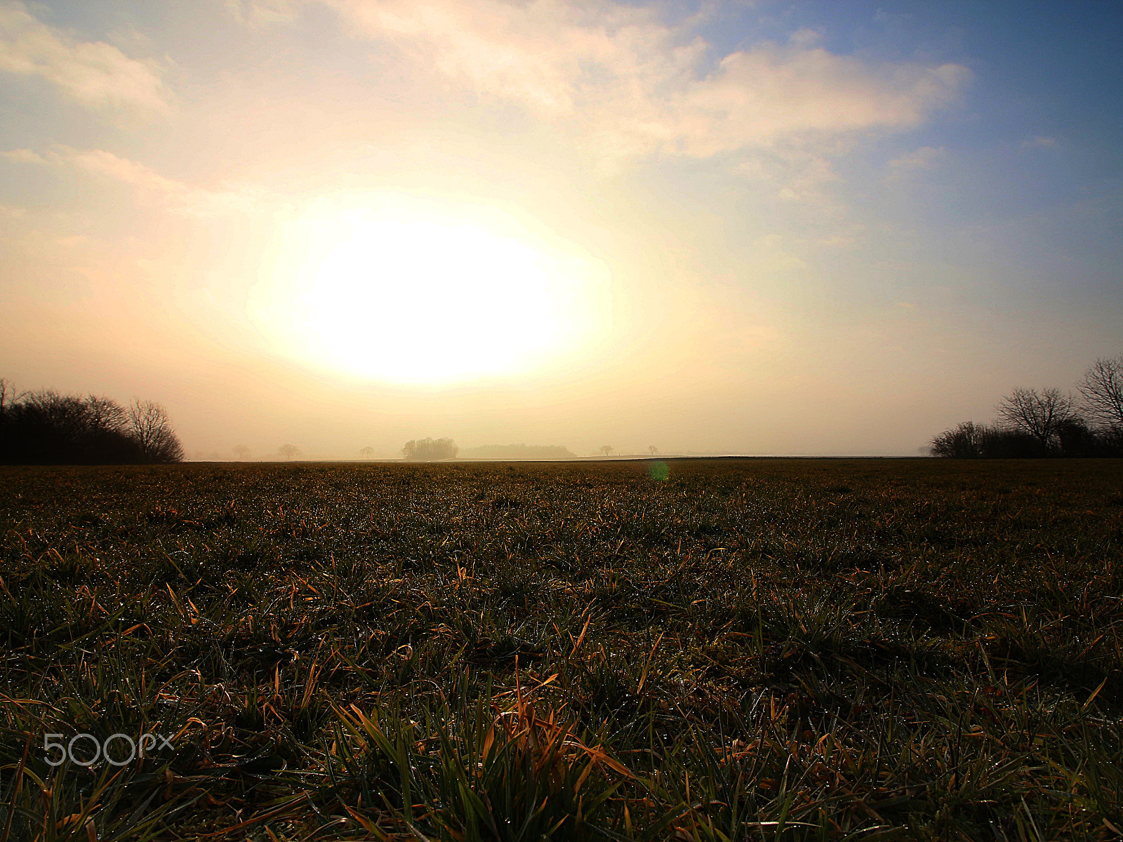 Canon EOS 650D (EOS Rebel T4i / EOS Kiss X6i) sample photo. Foggy morning photography