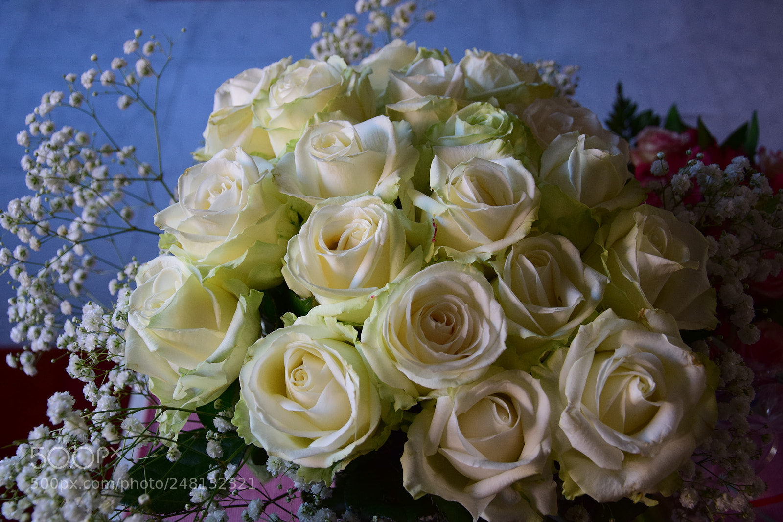 Nikon D5300 sample photo. Roses photography