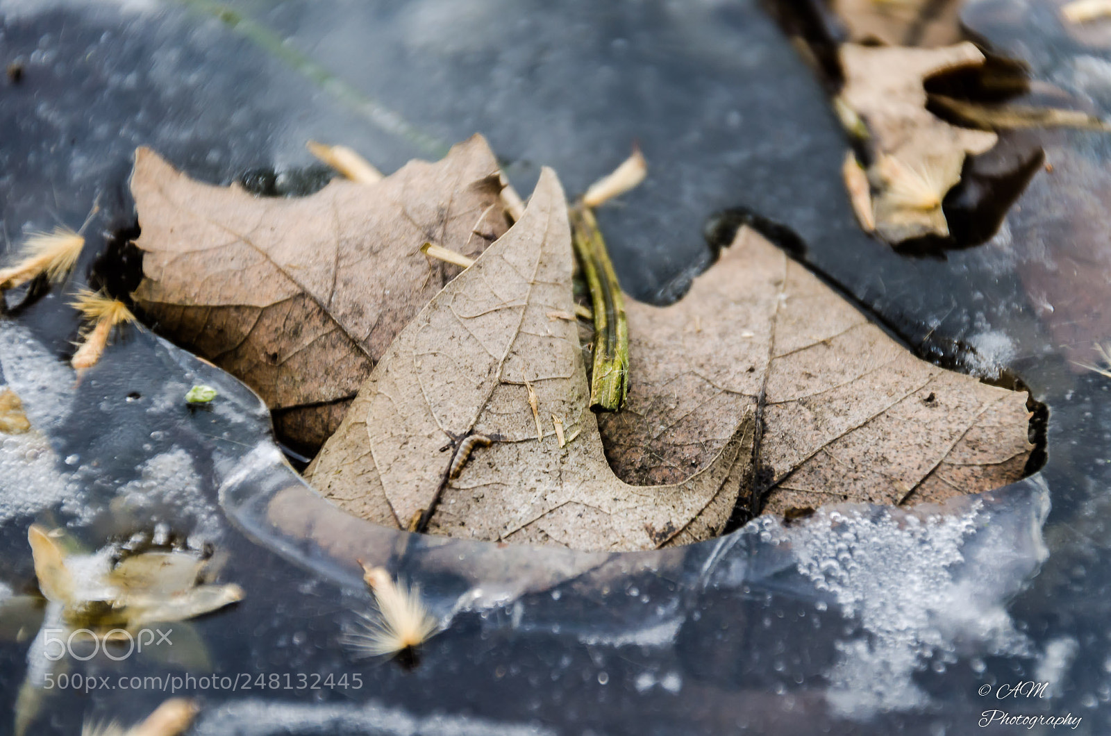 Nikon D5100 sample photo. Winterzeit photography