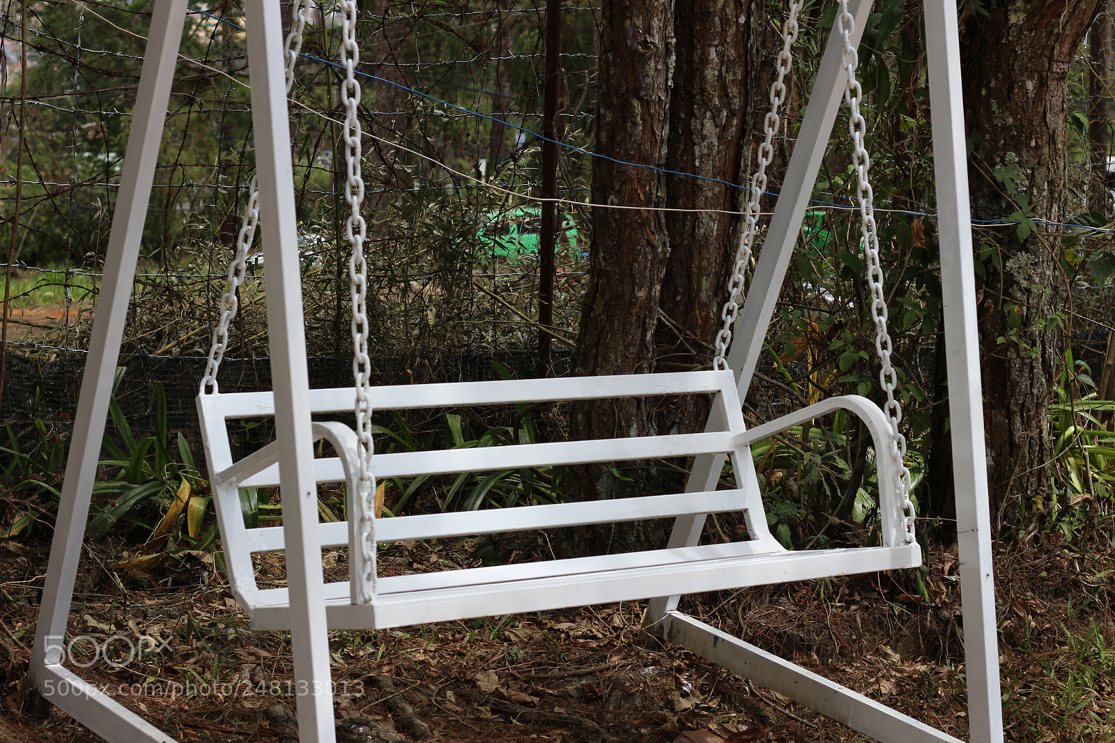 Canon EOS 700D (EOS Rebel T5i / EOS Kiss X7i) + Canon EF 50mm F1.8 STM sample photo. Img photography