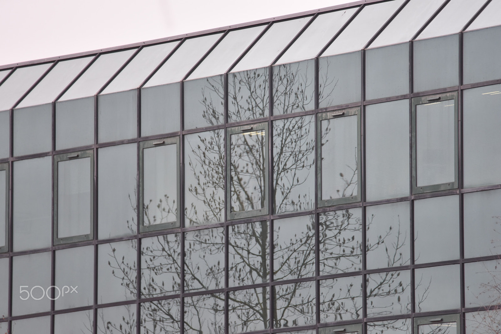 Nikon D810 sample photo. Clear to work photography