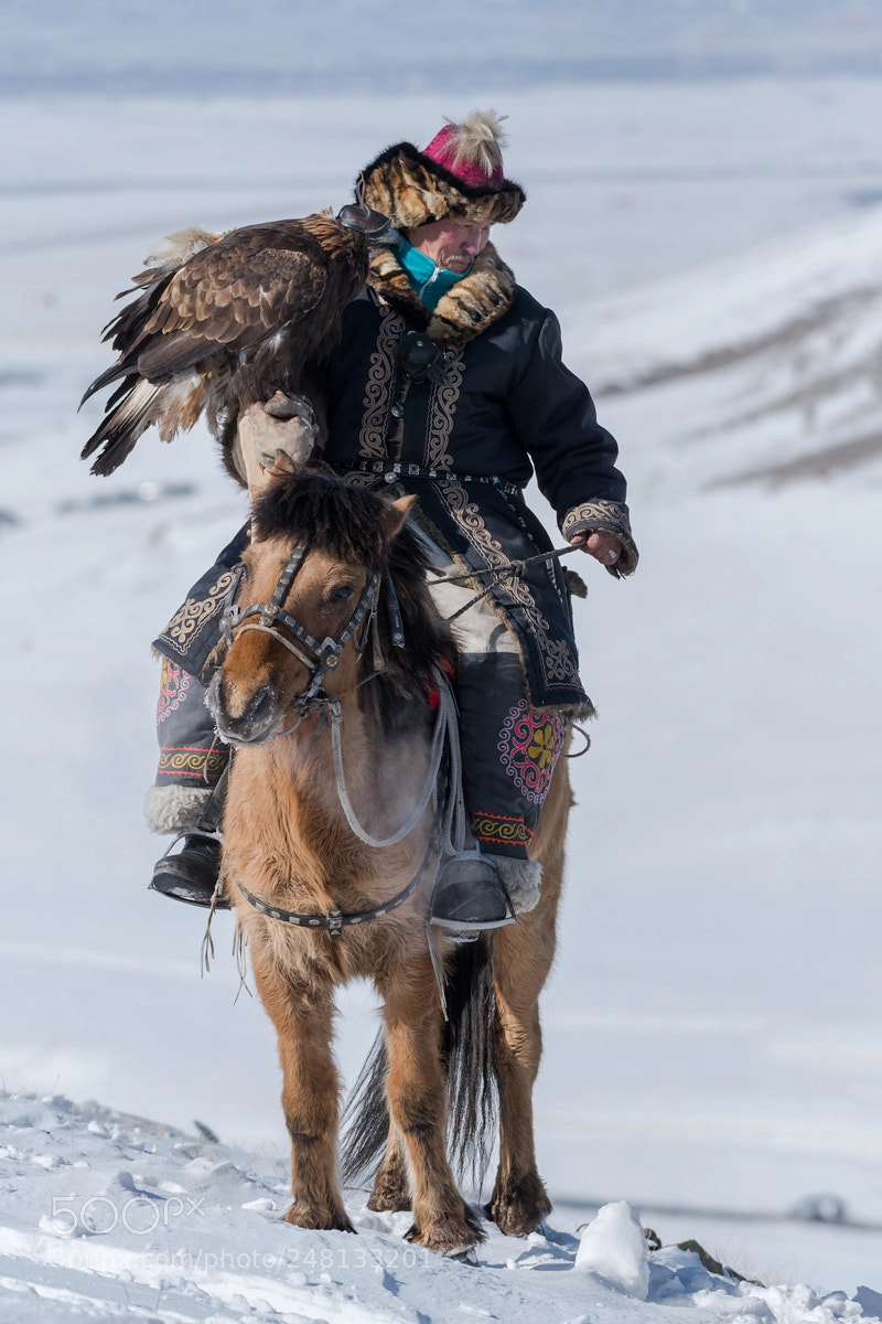 Nikon D500 sample photo. Hunter with his eagle photography