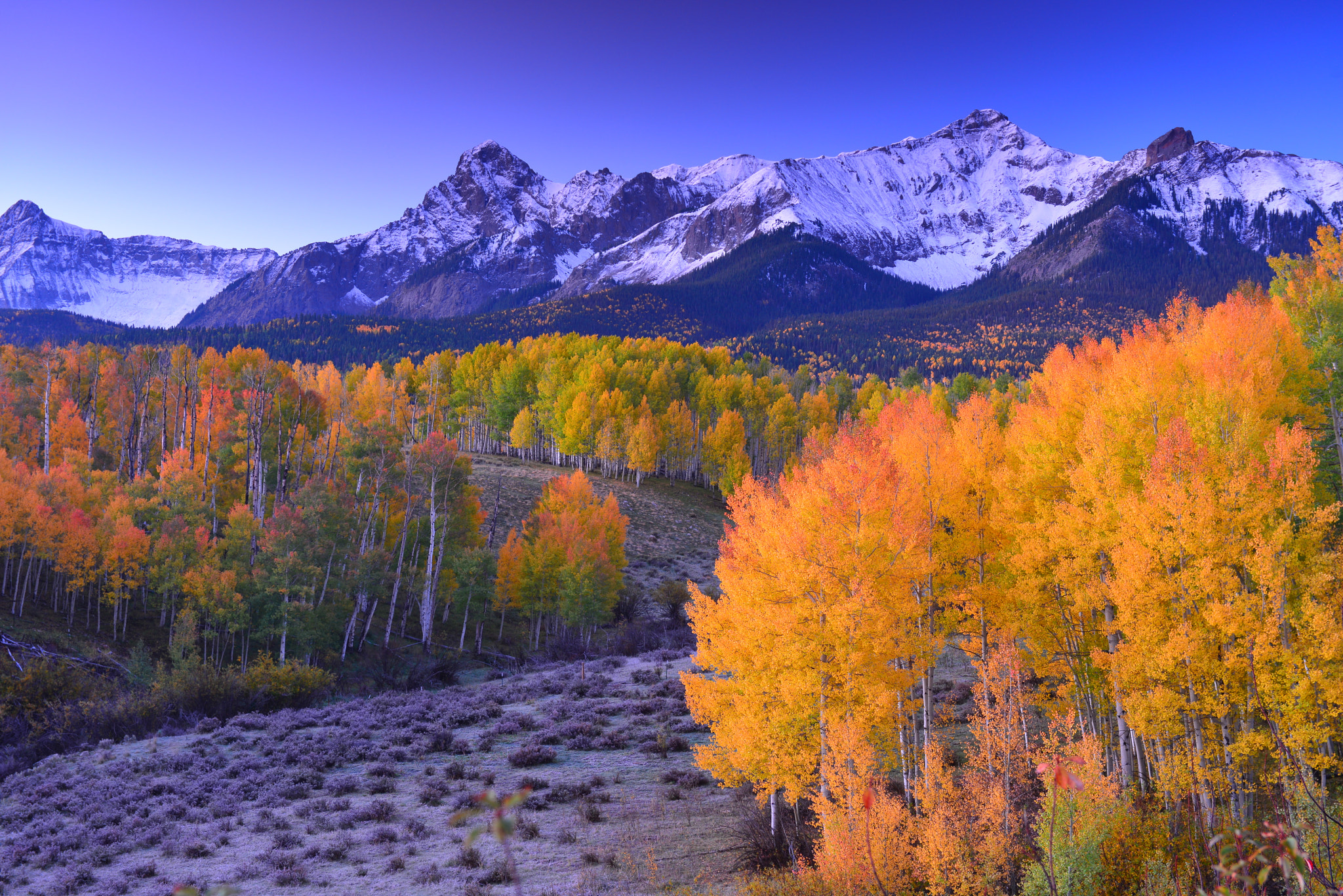 Nikon AF-S Nikkor 24-70mm F2.8G ED sample photo. Colorful colorado photography