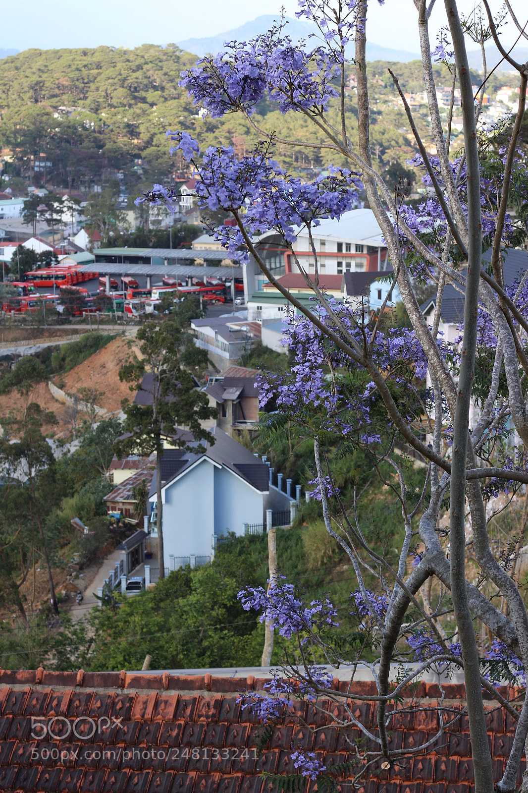 Canon EOS 700D (EOS Rebel T5i / EOS Kiss X7i) sample photo. Img photography