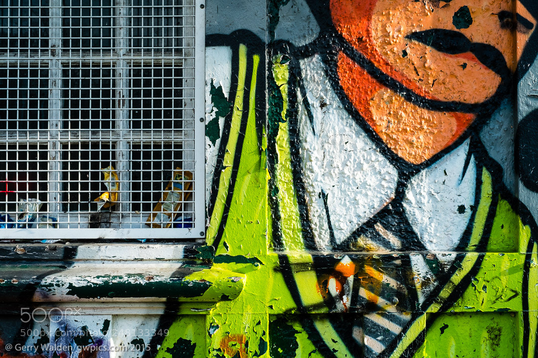 Fujifilm X-Pro1 sample photo. Graffiti photography