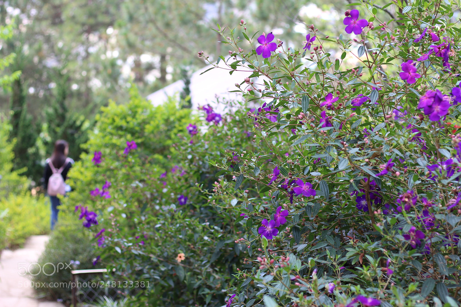 Canon EOS 700D (EOS Rebel T5i / EOS Kiss X7i) + Canon EF 50mm F1.8 STM sample photo. Img photography