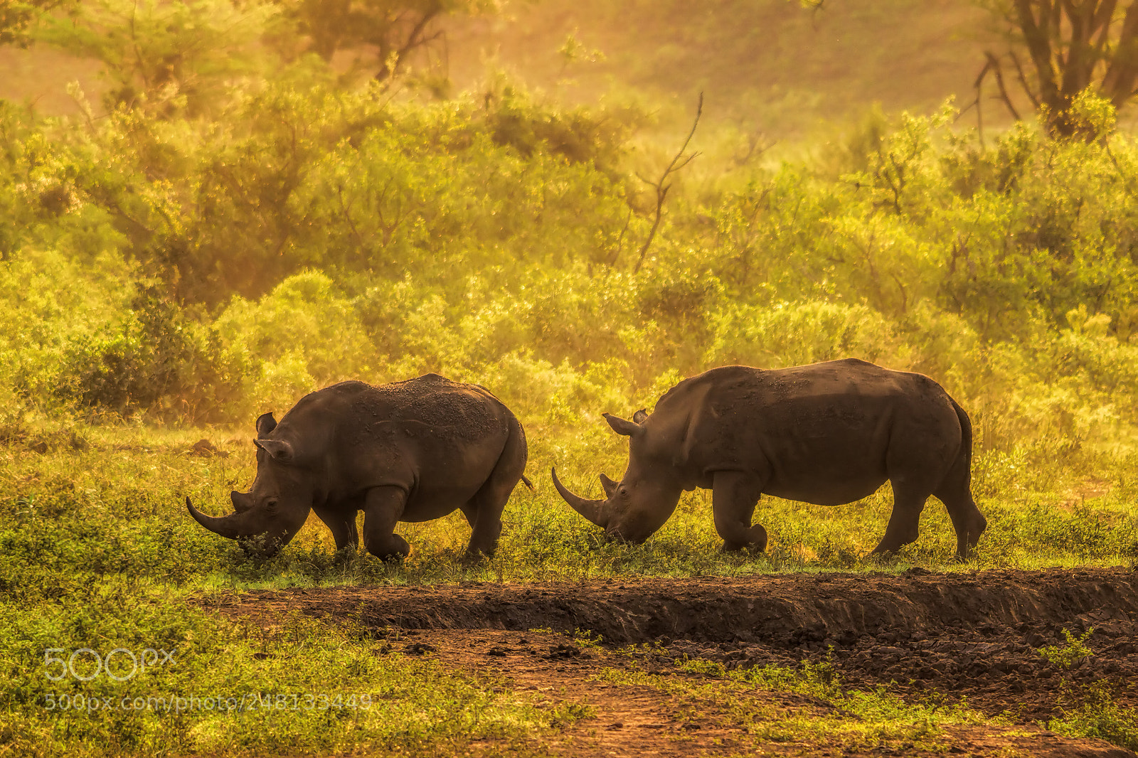 Canon EOS 7D sample photo. Born to be wild photography