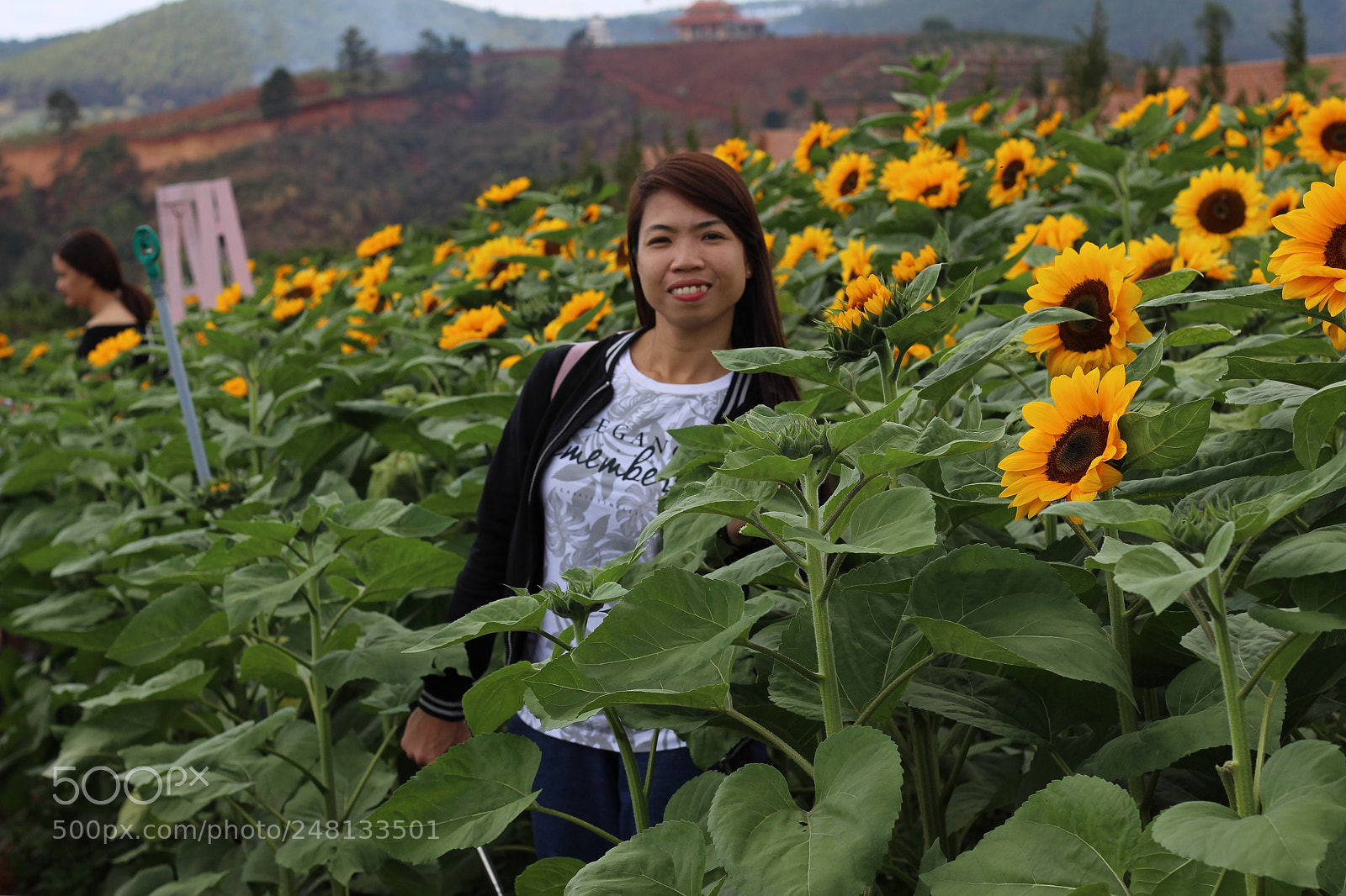 Canon EOS 700D (EOS Rebel T5i / EOS Kiss X7i) + Canon EF 50mm F1.8 STM sample photo. Img photography