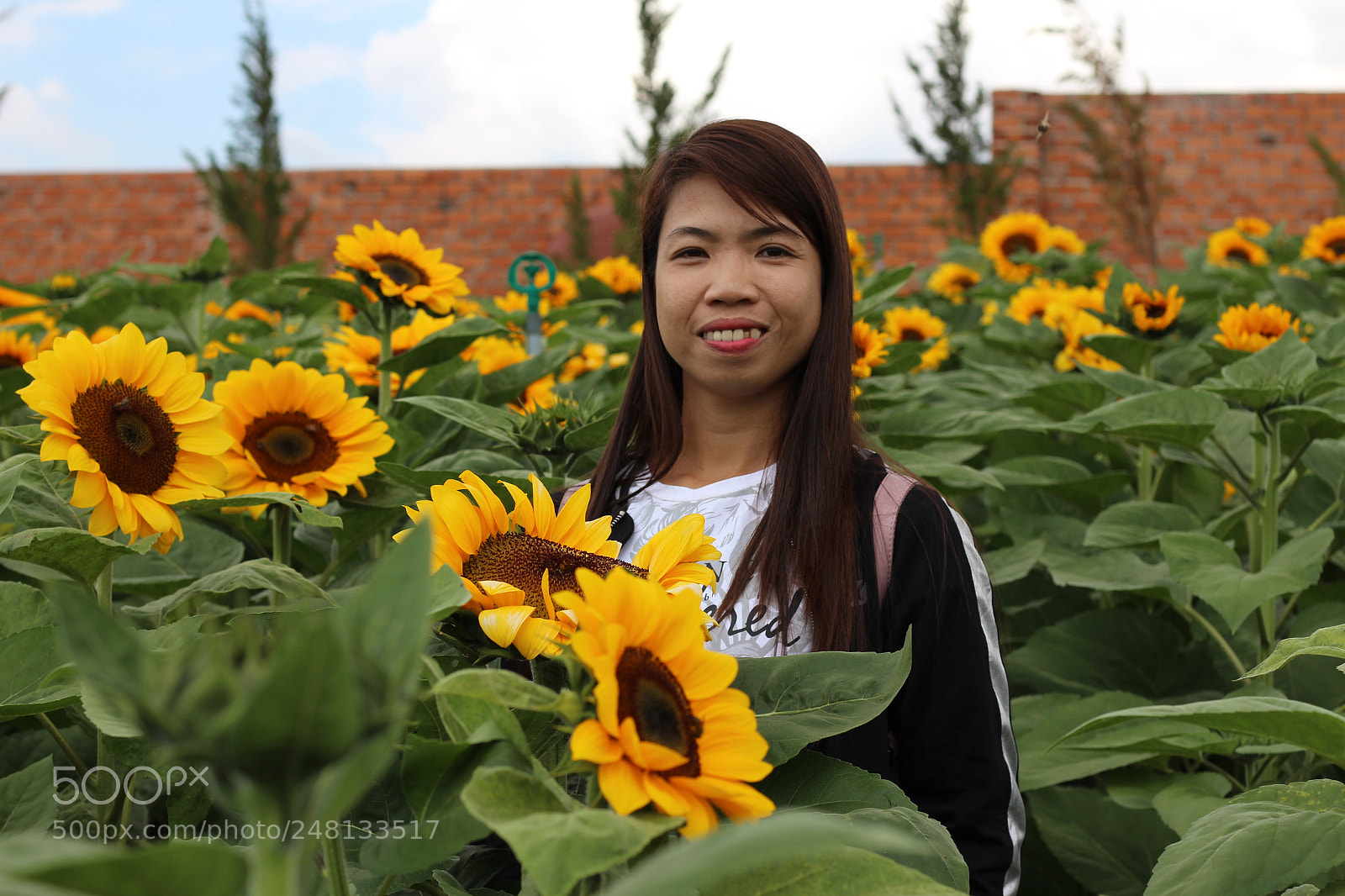 Canon EOS 700D (EOS Rebel T5i / EOS Kiss X7i) + Canon EF 50mm F1.8 STM sample photo. Img photography