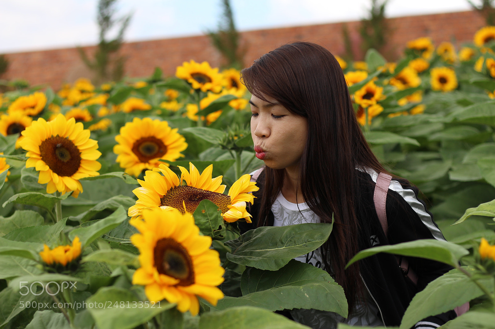 Canon EOS 700D (EOS Rebel T5i / EOS Kiss X7i) + Canon EF 50mm F1.8 STM sample photo. Img photography