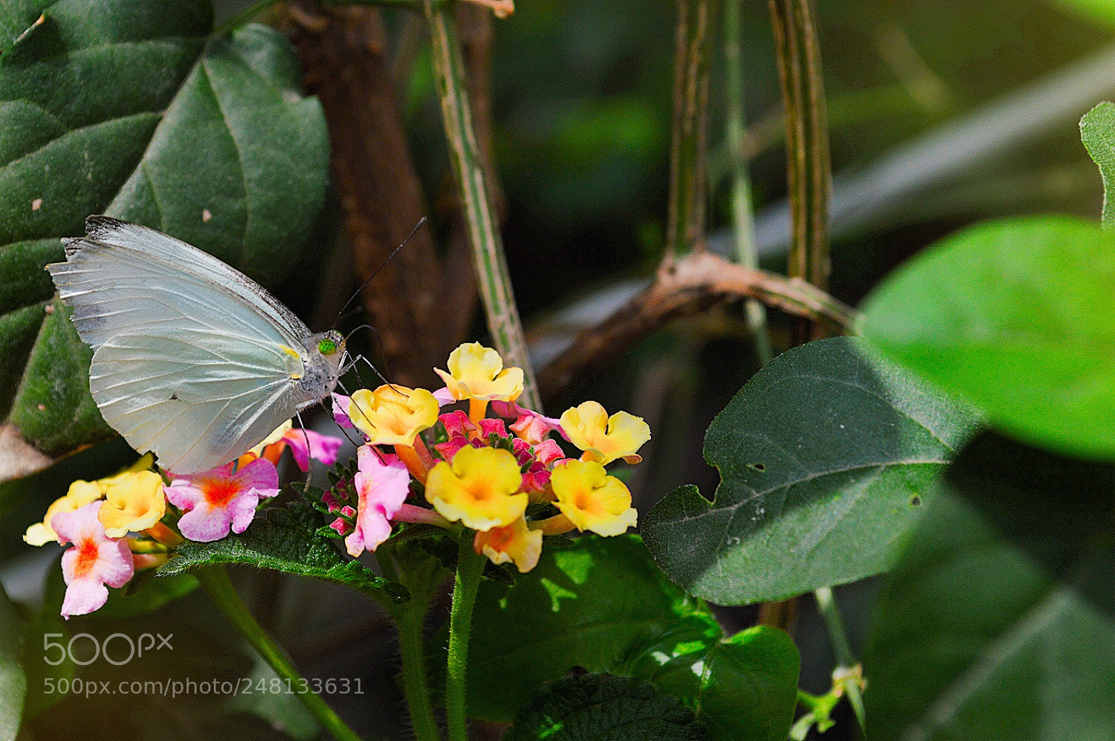 Nikon D3200 sample photo. Untitled photography